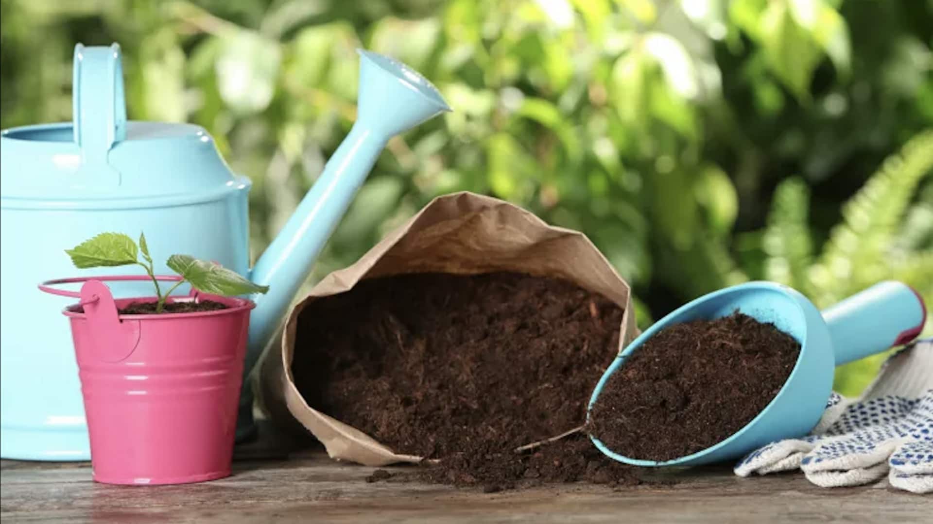 เคล็ดลับประหยัดเงินในการซื้ออุปกรณ์ทำสวน