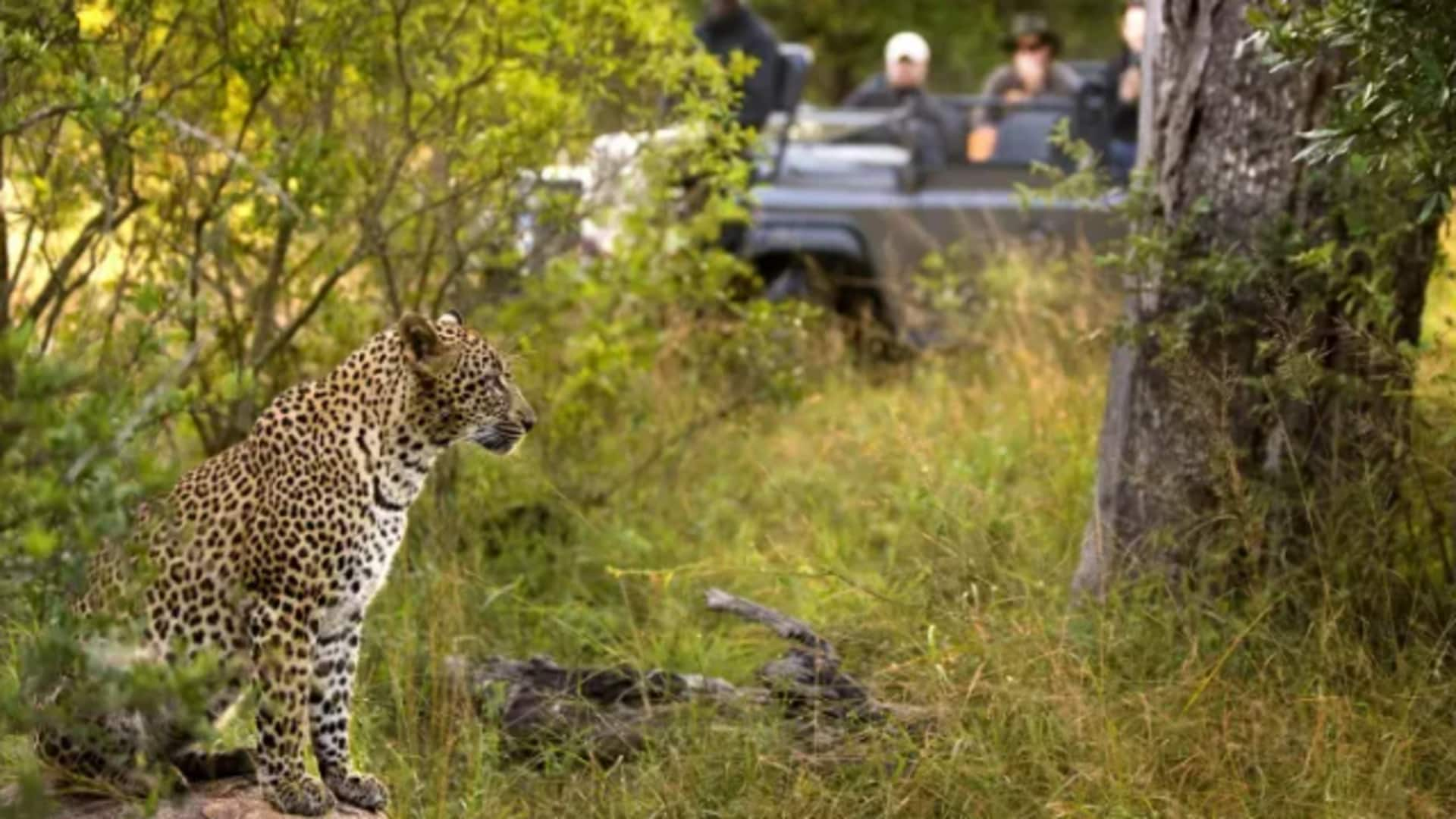 สำรวจเส้นทางการเดินทางที่สวยงามตามเส้นทางสวน (Garden Route), แอฟริกาใต้