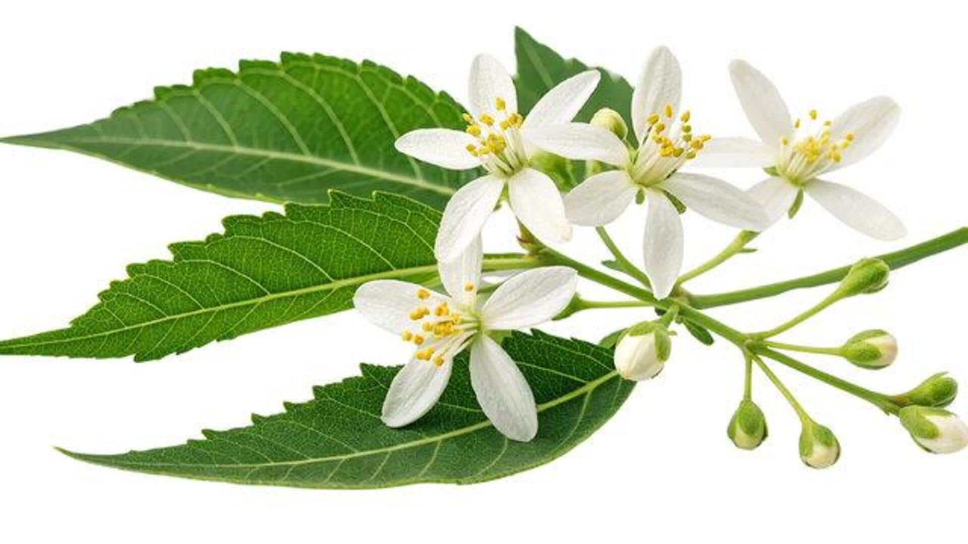 ประโยชน์ด้านความงามของดอกสะเดาเพื่อผิวพรรณที่ไร้ที่ติ