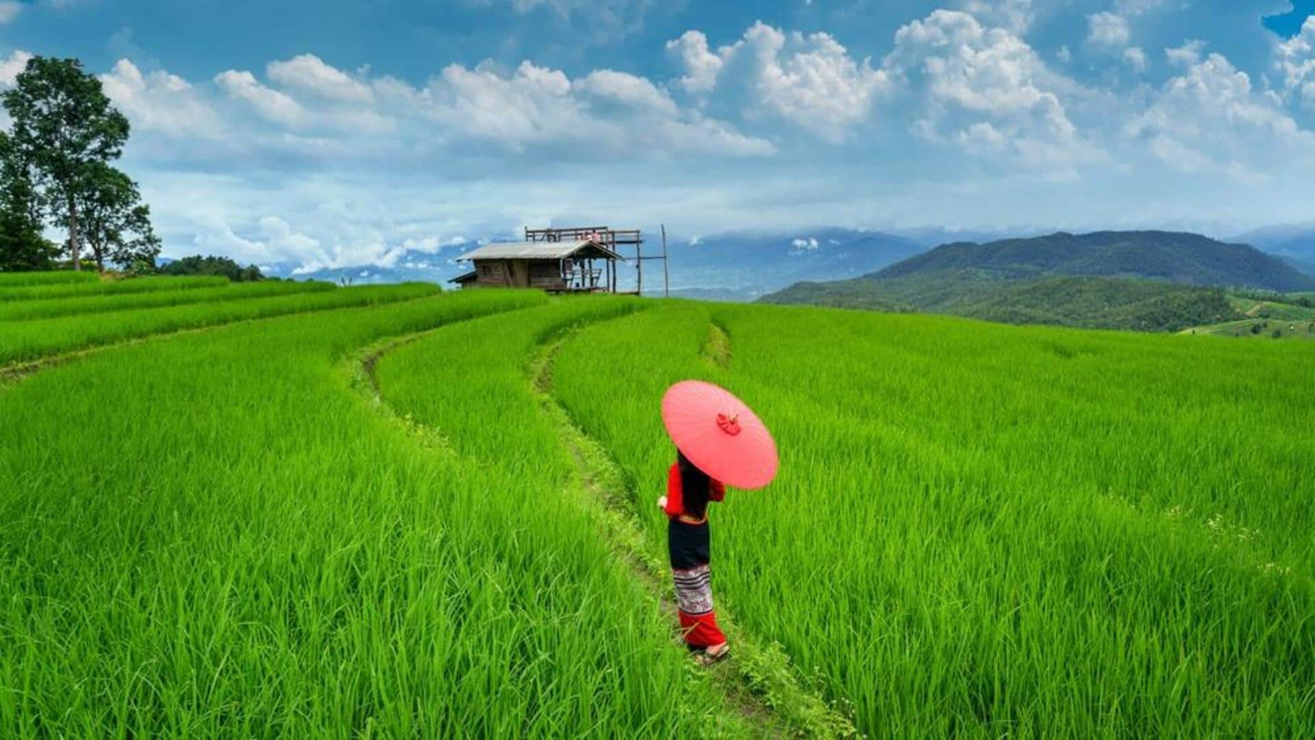สัมผัสความเงียบสงบของทุ่งนาชนบท