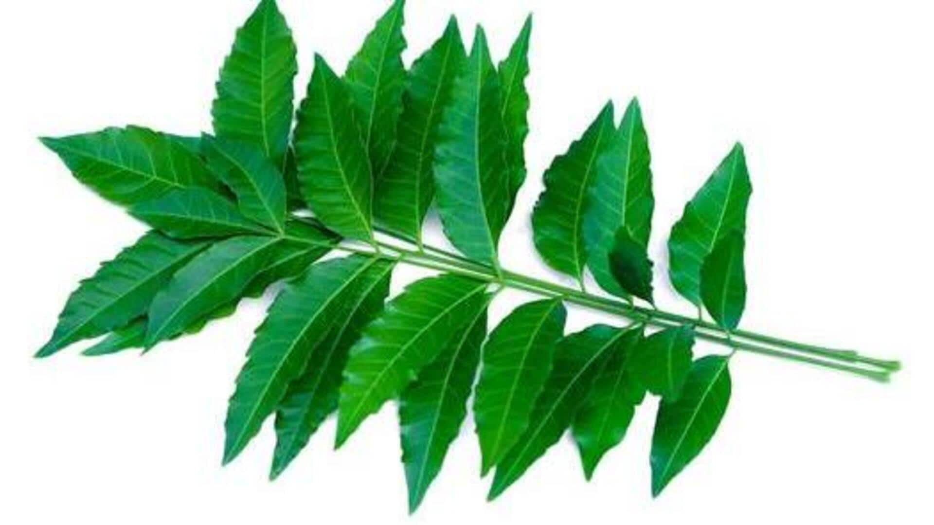 ใบสะเดา: เคล็ดลับความงามเพื่อผิวสุขภาพดี