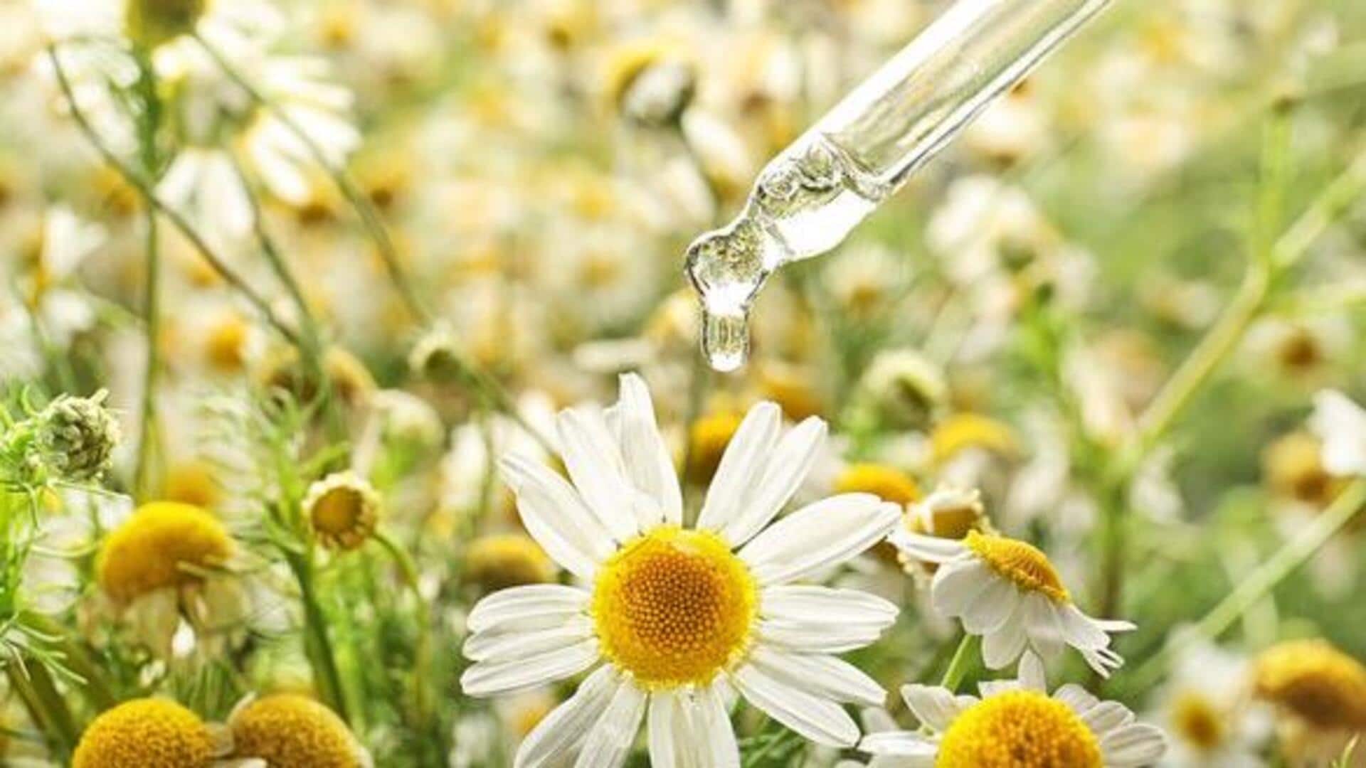 ประโยชน์ของสารสกัดคาโมมายล์เพื่อผิวที่มีสุขภาพดี