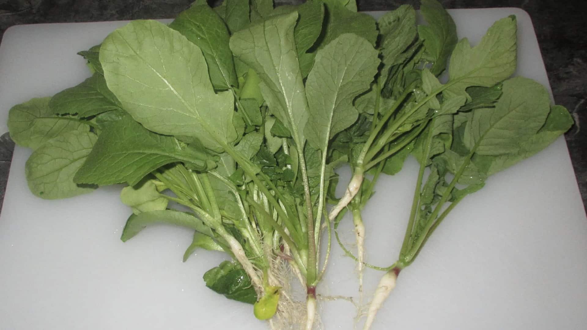 ผัดใบหัวไชเท้า: เมนูมังสวิรัติทำง่าย อร่อยและมีประโยชน์