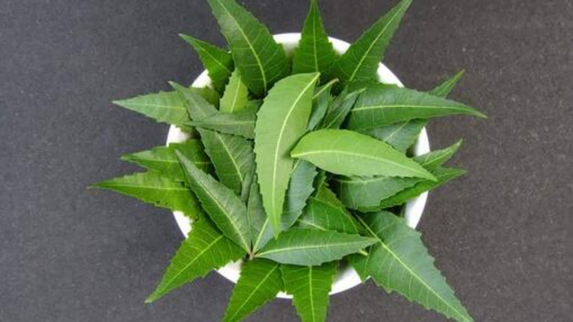 ประโยชน์ของใบสะเดาเพื่อผิวใสไร้สิว