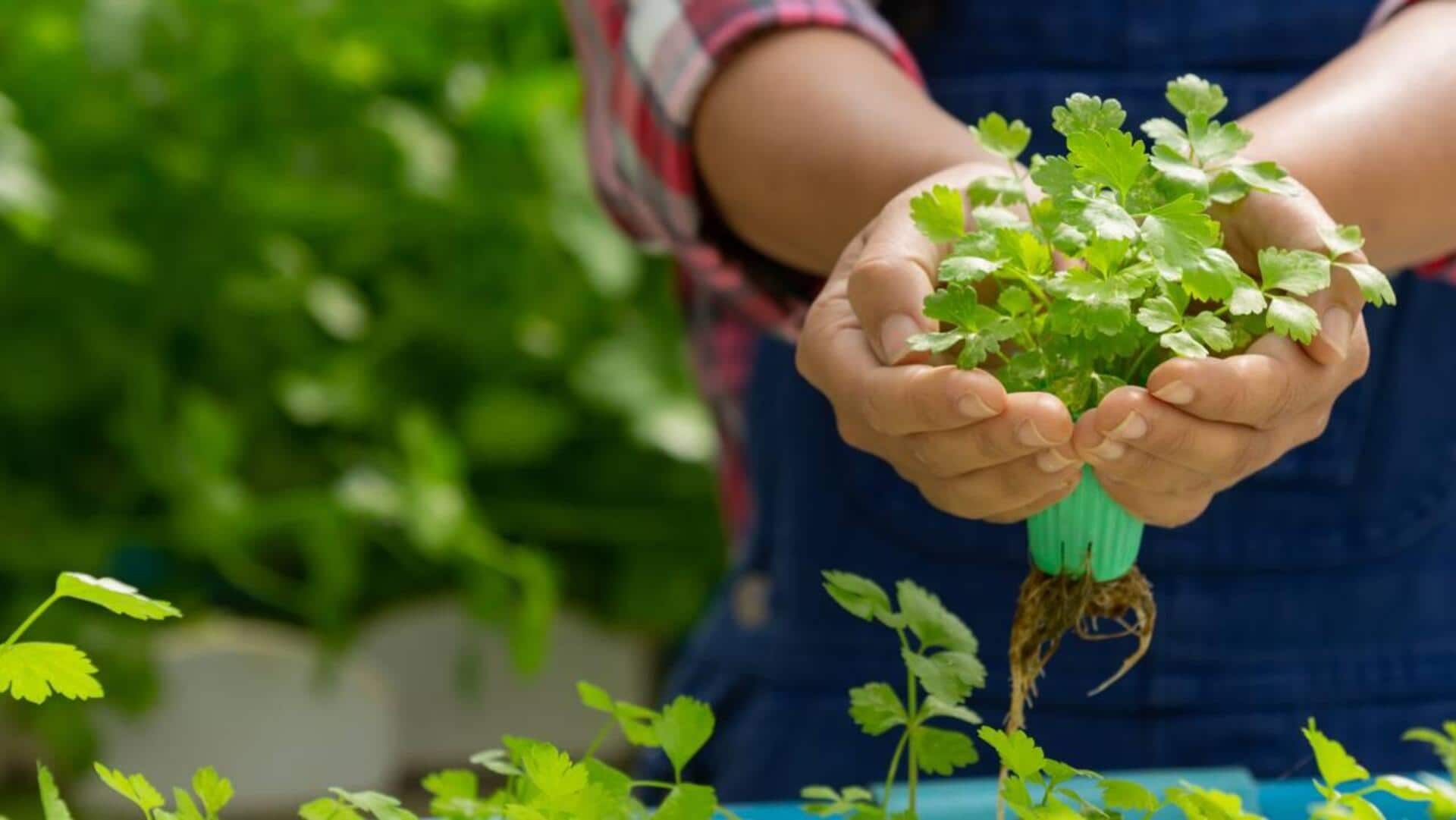 5 วิธีเพิ่มความเป็นอยู่ที่ดีด้วยการทำสวนอินทรีย์