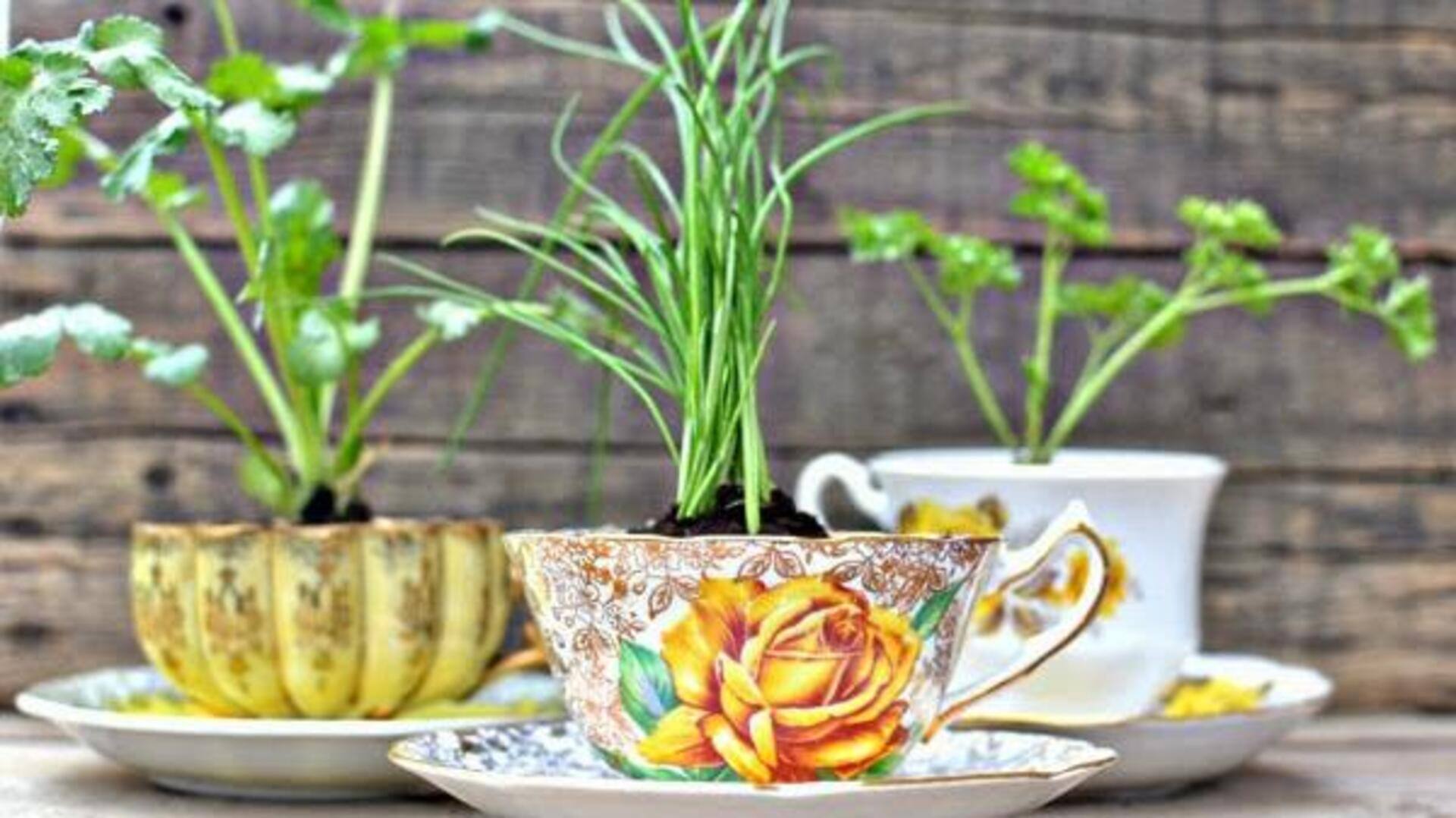 ไอเดียรีไซเคิล: เปลี่ยนถ้วยจานรองไม่เข้าคู่เป็นของแต่งบ้านสุดชิค