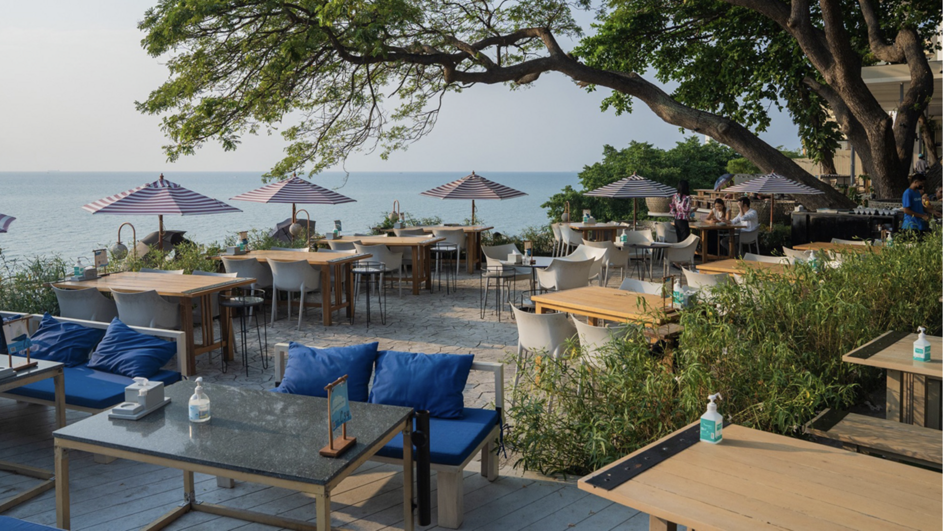 คาเฟ่วีแกนยอดนิยม: สถานที่ที่นักเดินทางรักษ์โลกไม่ควรพลาด คาเฟ่วีแกนยอดนิยม: สถานที่ที่นักเดินทางรักษ์โลกไม่ควรพลาด