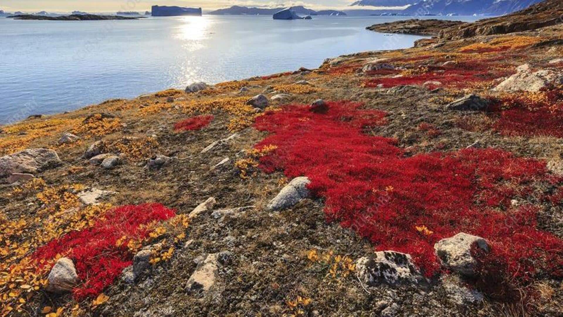 สถานที่พักผ่อนในกรีนแลนด์ช่วงฤดูใบไม้ร่วง
