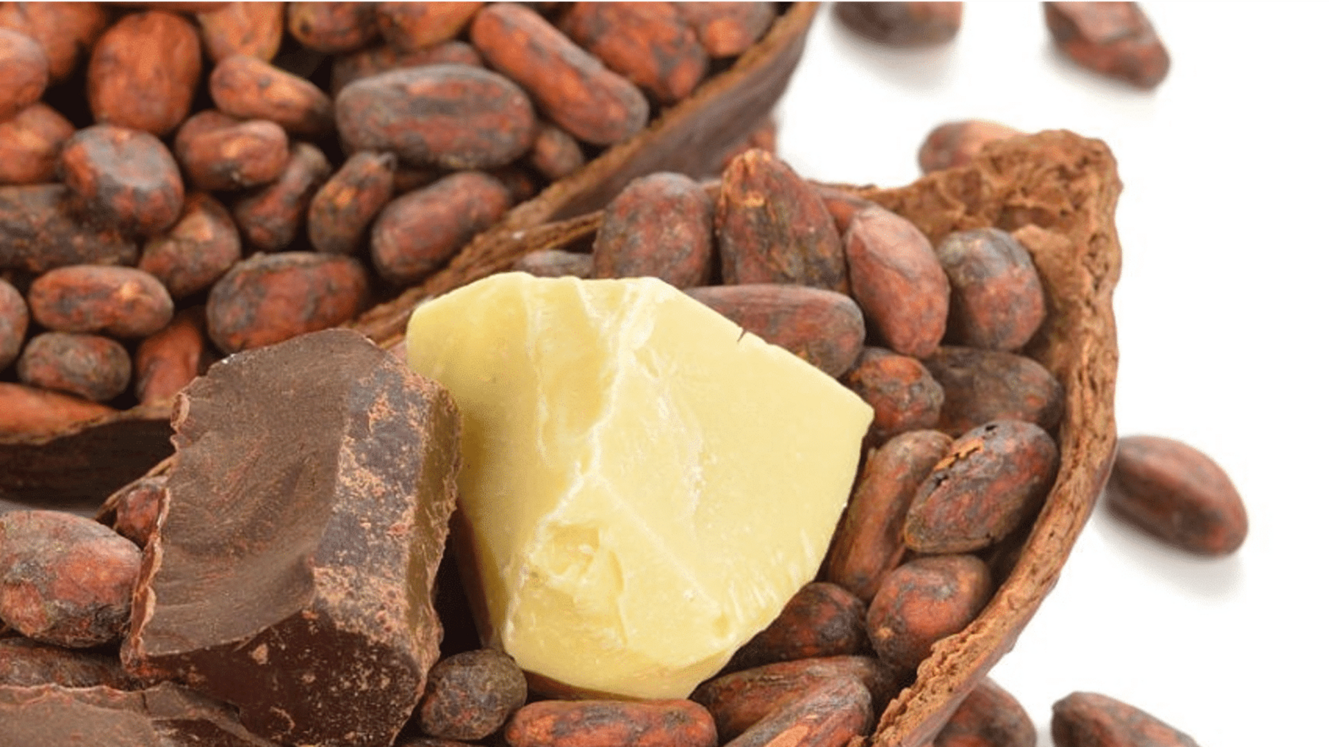 เนยโกโก้: เคล็ดลับจากธรรมชาติเพื่อผิวสวยไร้ที่ติ