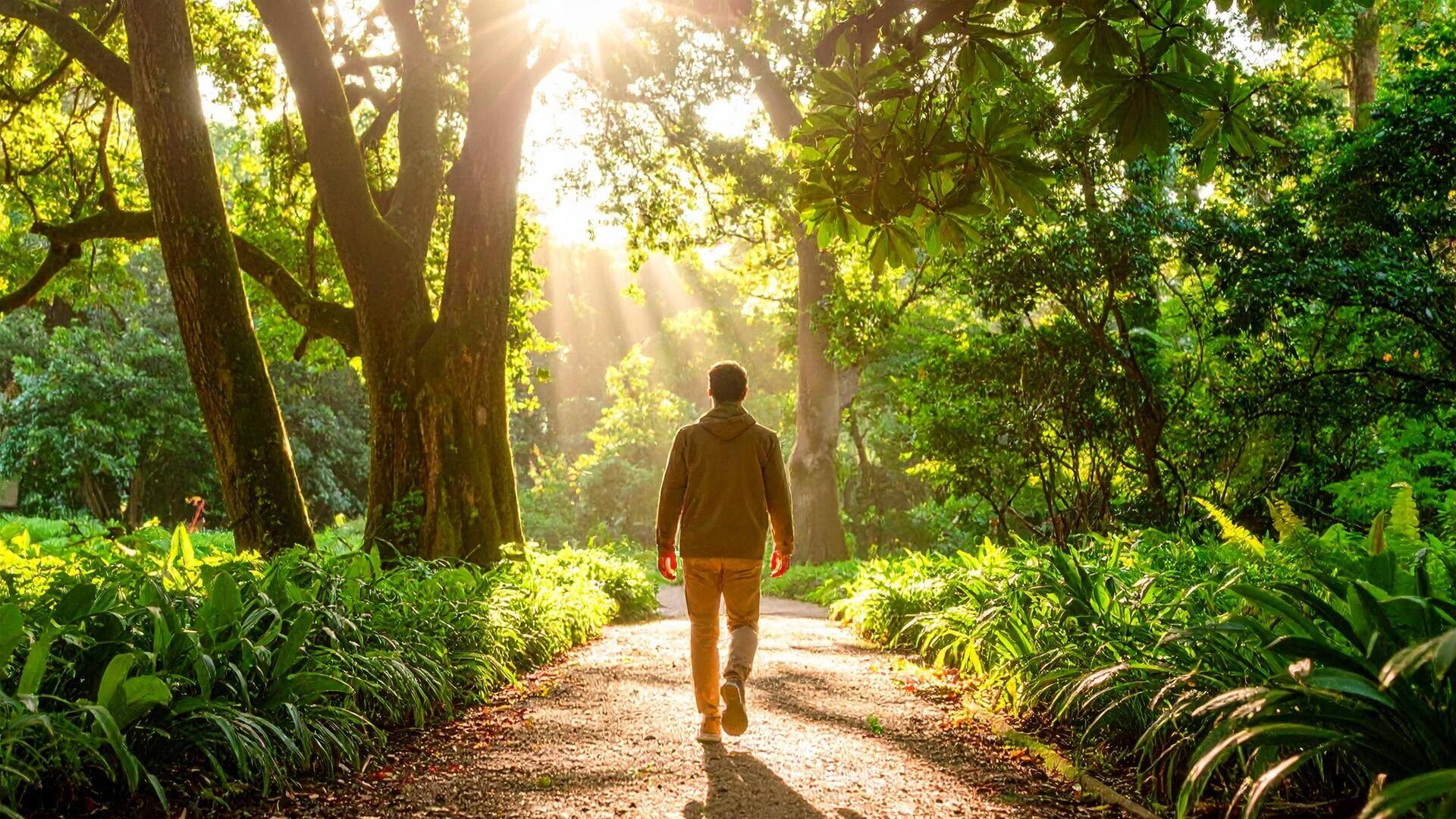 เดินเล่นในธรรมชาติทุกวันเพื่อเติมพลังให้จิตใจ