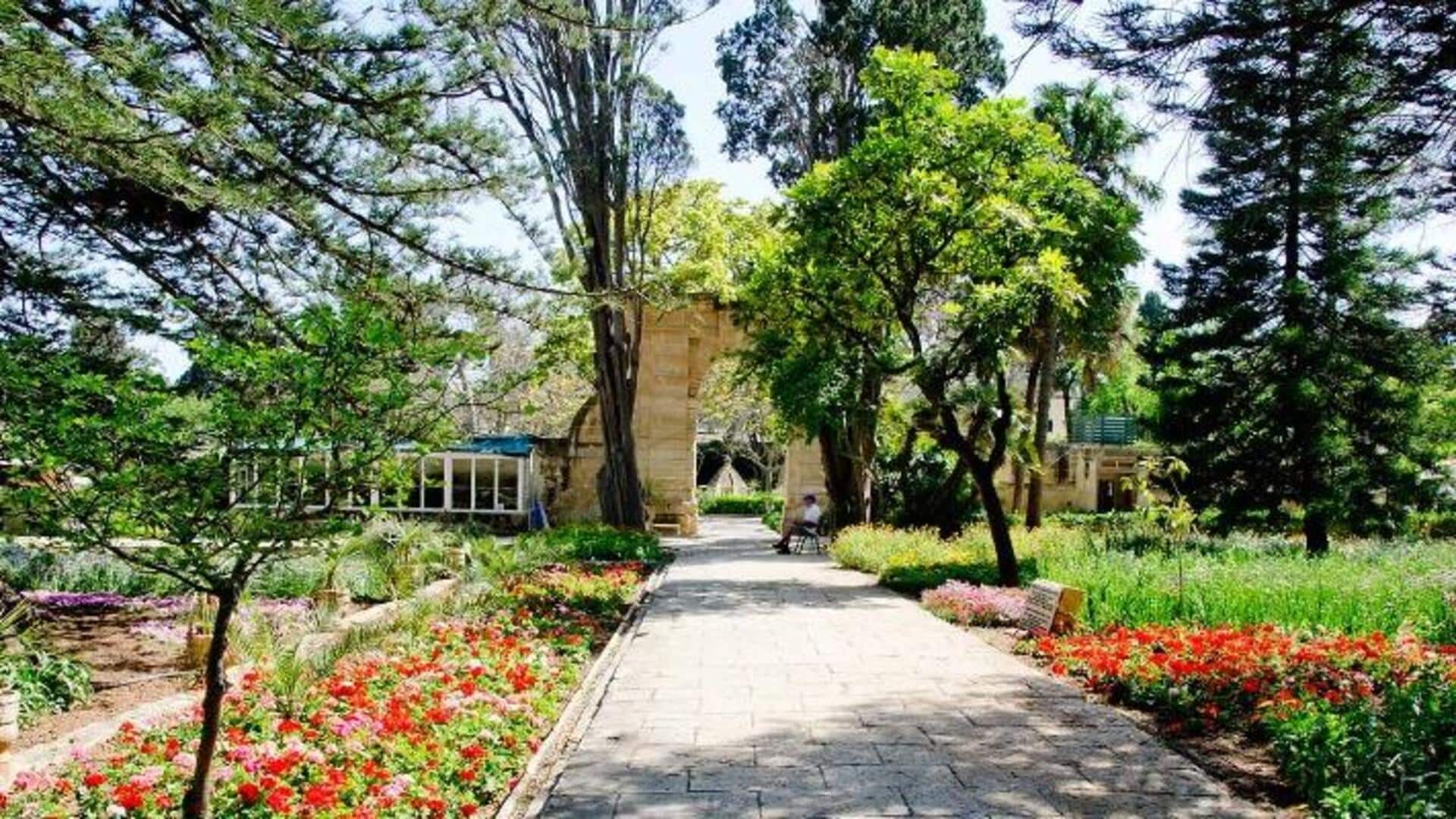 สวนเกาะอันงดงามในมอลตา