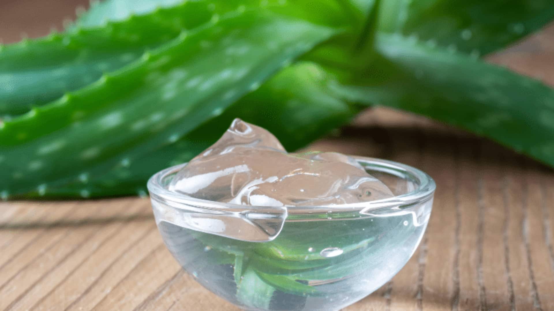 เจลว่านหางจระเข้: เคล็ดลับความงามที่ไม่ควรพลาด