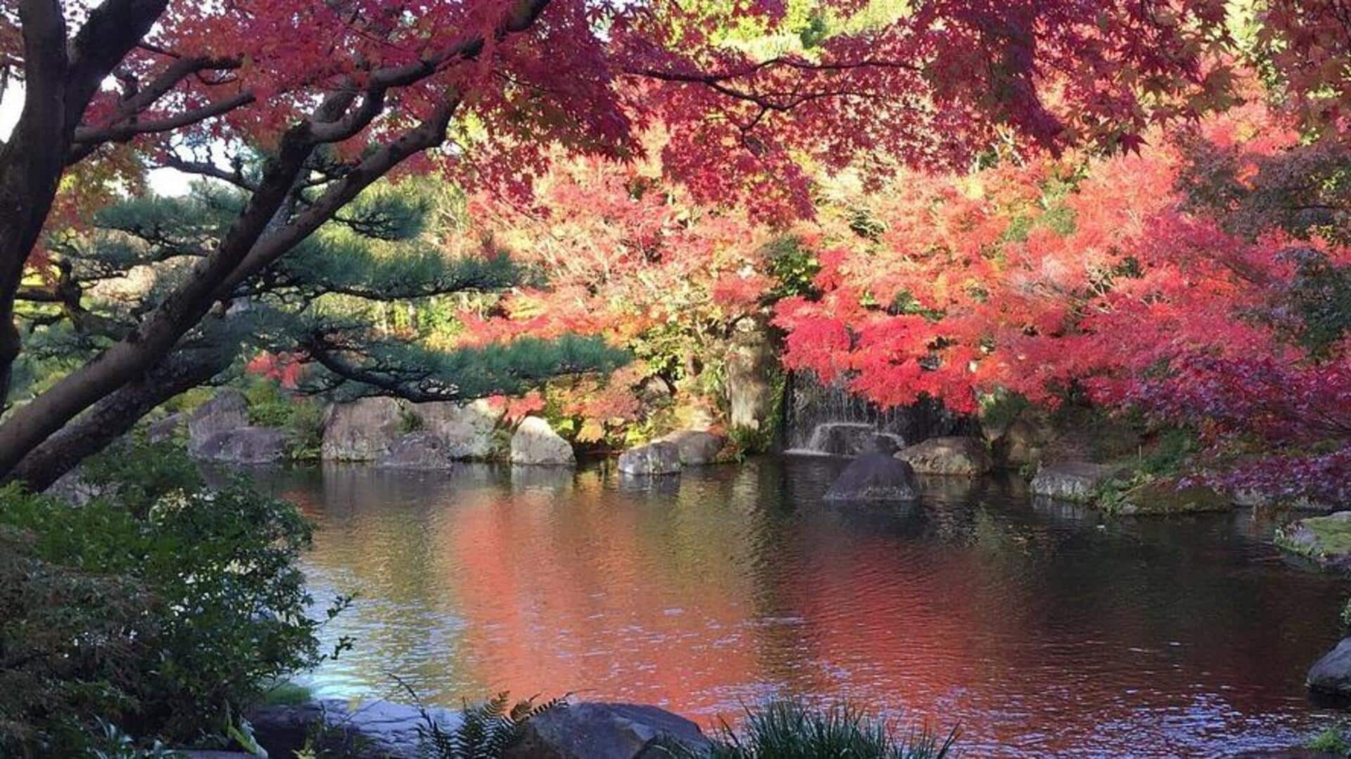 สวนลับในญี่ปุ่นที่คุณต้องไปเยือน