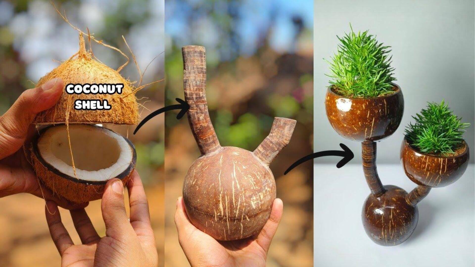 เปลี่ยนเปลือกมะพร้าวเป็นกระถางต้นไม้สุดยั่งยืน