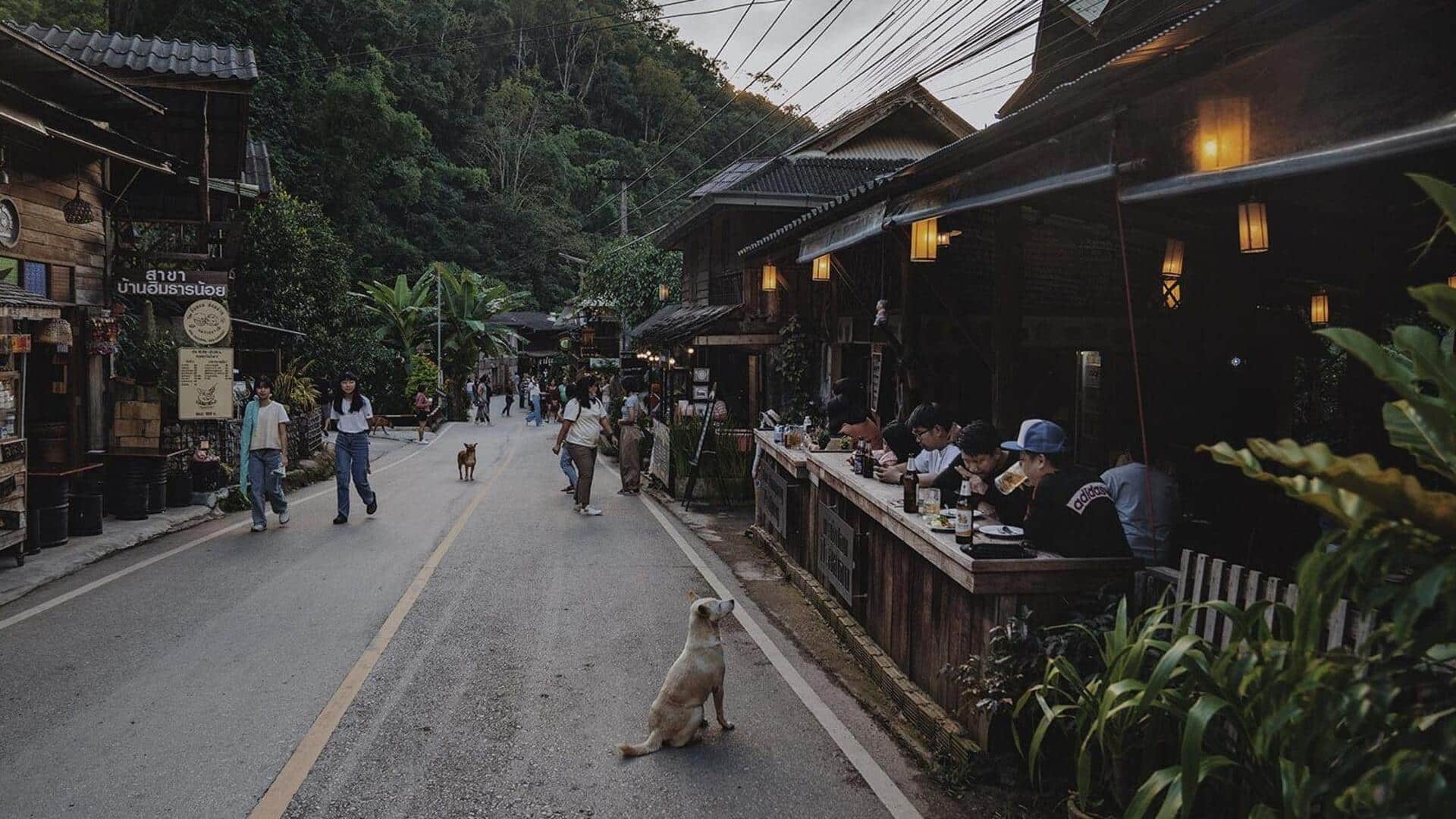 หมู่บ้านวัฒนธรรมที่ซ่อนเร้นทางภาคเหนือ หมู่บ้านวัฒนธรรมที่ซ่อนเร้นทางภาคเหนือ