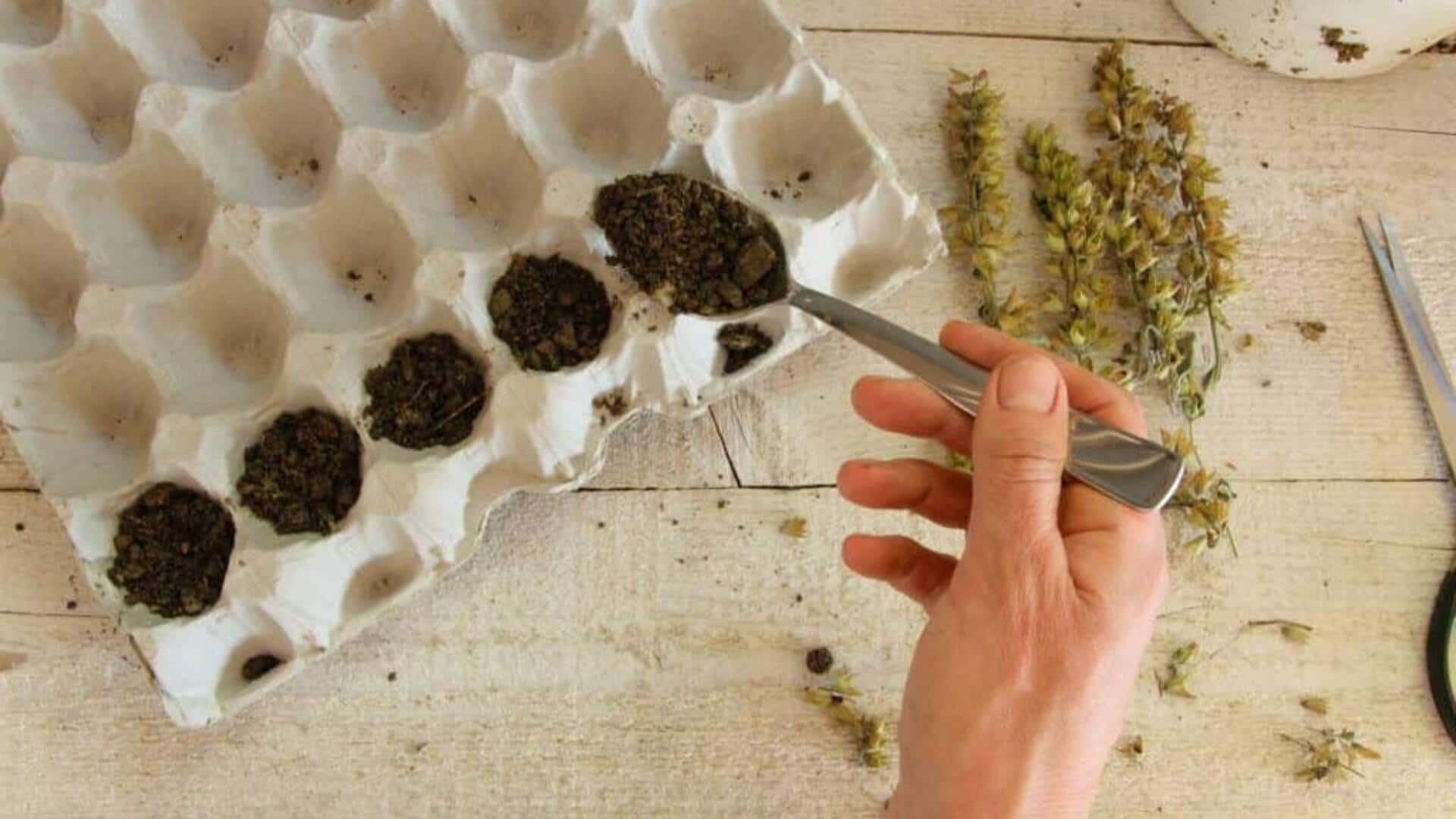 เริ่มต้นปลูกต้นไม้ด้วยตะกร้าไข่เก่า