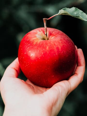  5 fruits for strong hair