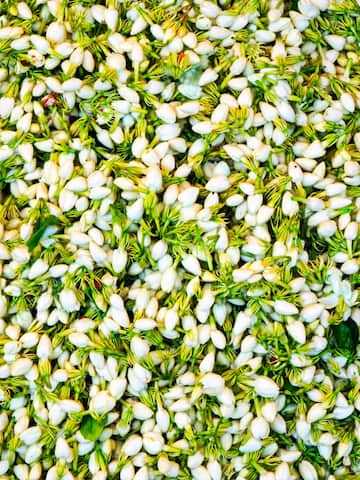 5 health benefits of jasmine