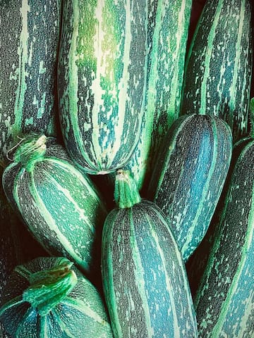 5 health benefits of zucchini