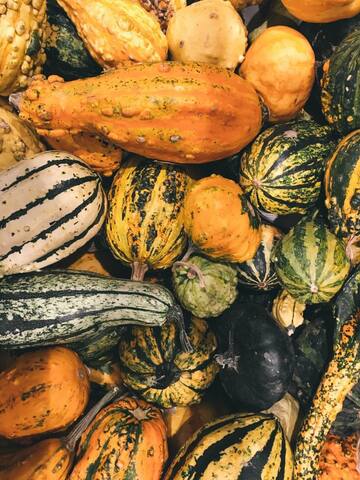 5 health benefits of squash