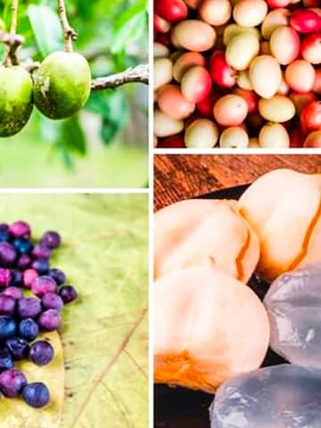 5 lesser-known fruits grown in India