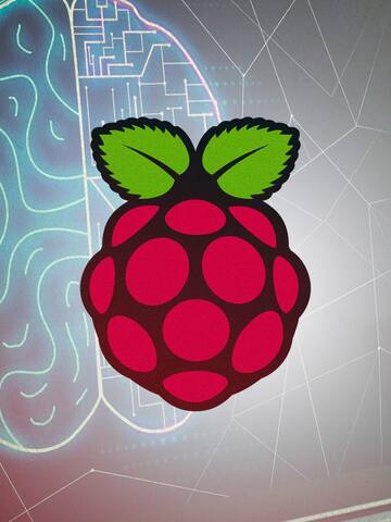 Raspberry Pi-based device can read brain