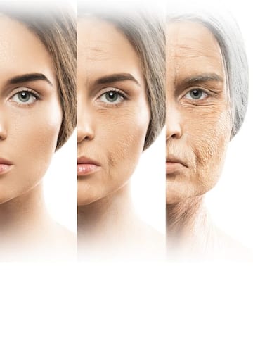 New study explains how we age