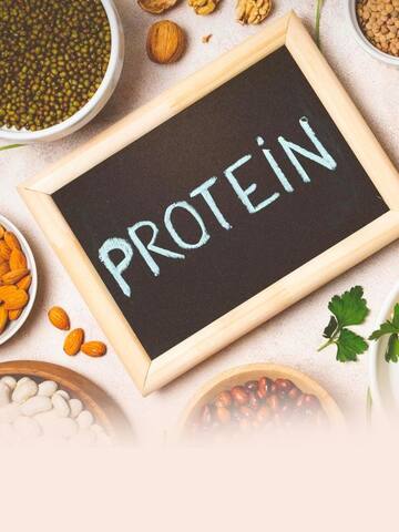 Plant-based proteins to include in the diet