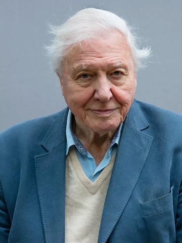 David Attenborough's best documentaries