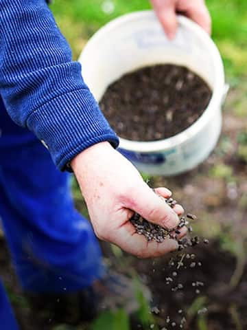 5 types of fertilizers for garden plants