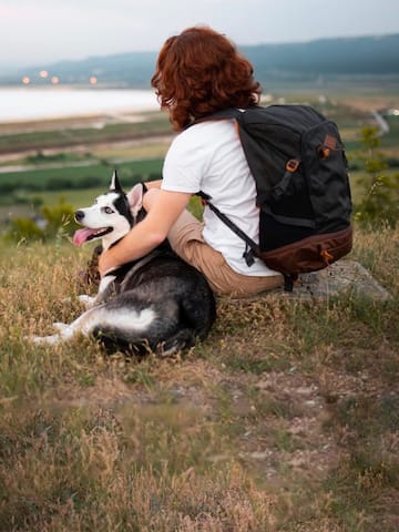 Hacks to travel with a pet