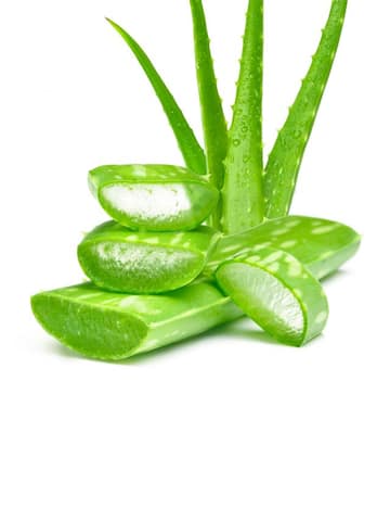 How to add aloe vera to your skincare