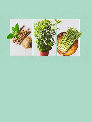 5 immunity-boosting herbs for monsoon