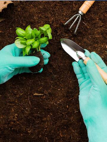 These gardening hacks actually work