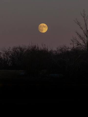 All about December's Cold Moon