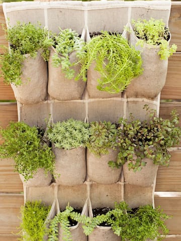 Creating vertical gardens from trash