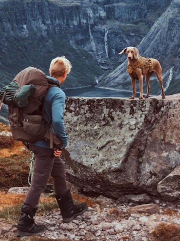 Tips to note while hiking with your dog